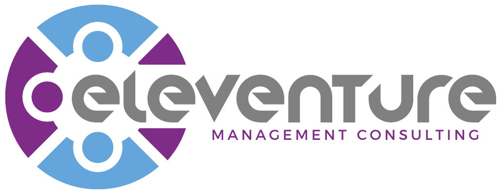 Eleventure Management Consulting